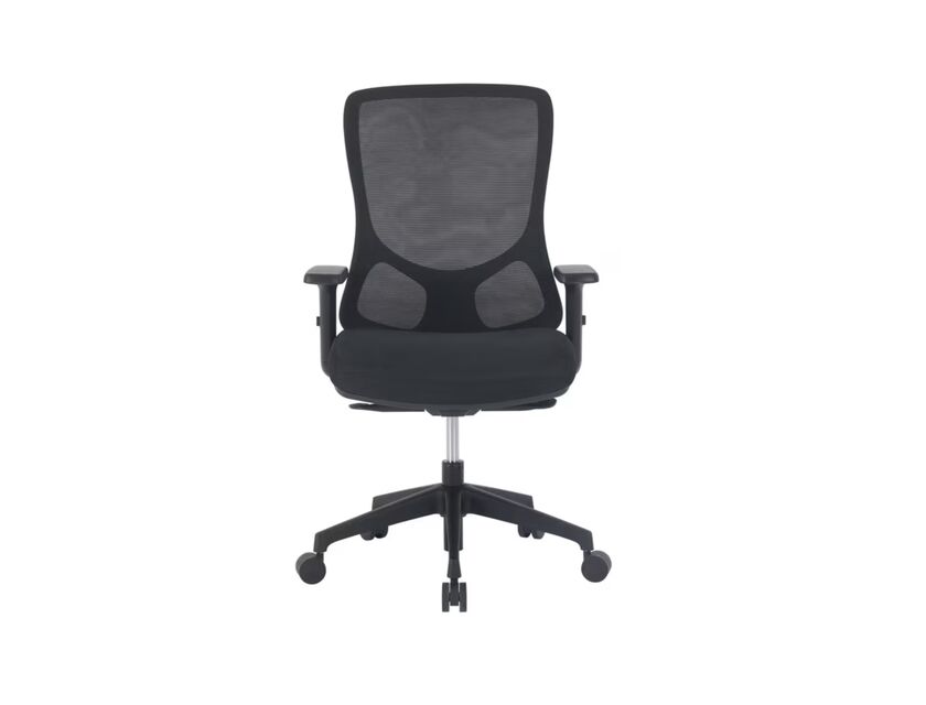 Ergonomic Office Chair