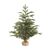 Traditional Pine Christmas Tree - Hessian Pot