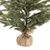 Traditional Pine Christmas Tree - Hessian Pot