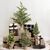 Traditional Pine Christmas Tree - Hessian Pot