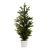 Traditional Pine Christmas Tree - Metal Pot