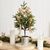 Spruce Pine Table Top Christmas Tree