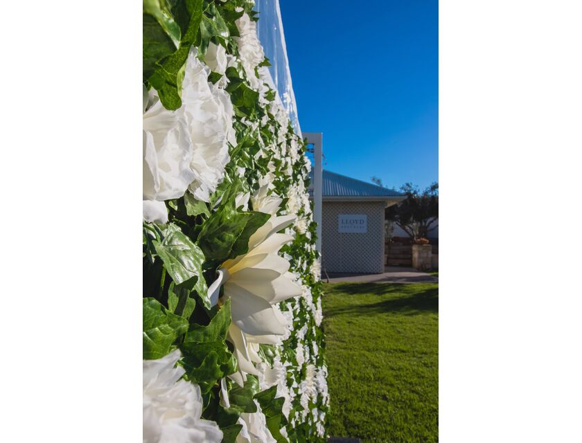 White Ivy Flower Wall -