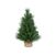 Small Pine Christmas Tree