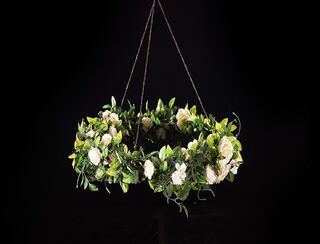 Hanging Hoop - White Ivy Rose - 80cm
