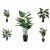 Jungle Plants - Pack of 5