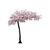 Large Cherry Blossom Tree